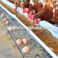 Chicken Breeding Cage For Egg Chickens & Broiler Chickens(Different Capacity)